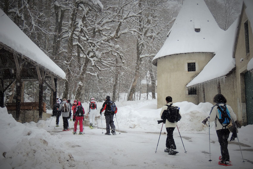 Chartreuse / Vercors
